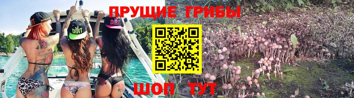Псилоцибиновые грибы мухоморы  Псилоцибиновые грибы Magic Shrooms  Казань  Вход с VPN 